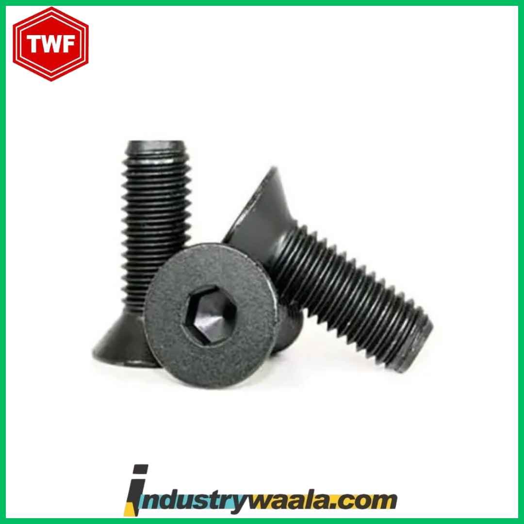 TWF 10 X 30 MM Countersunk Socket Head Cap Screws (CSK Allen Bolt) -Metric